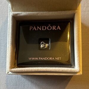 NIB Disney Parks Pandora Mickey and Minnie Mouse Petite Locket Charm